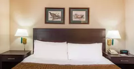 Hawthorn Suites by Wyndham El Paso | Teksas - El Paso (ve civarı) - El Paso