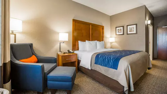 COMFORT INN & SUITES CHEYENNE | Wyoming - Cheyenne (ve civarı) - Cheyenne