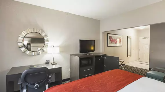 Comfort Suites Vista Ridge Mall | Teksas - Dallas (ve civarı) - Lewisville