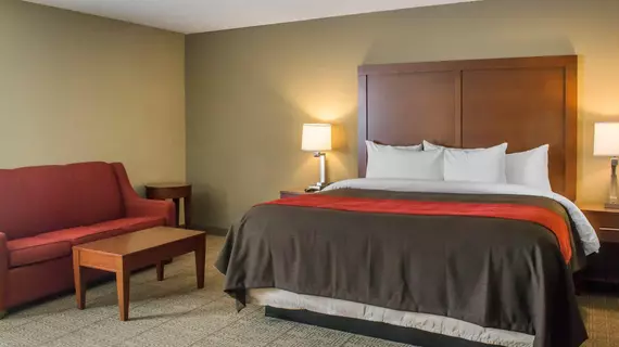 Comfort Inn Mayfield Heights Cleveland East | Ohio - Cleveland (ve civarı) - Mayfield Heights