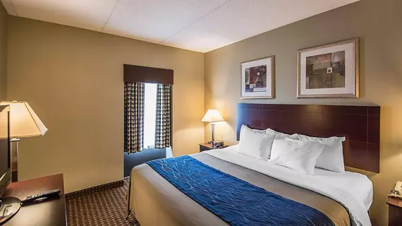 Comfort Inn Rochester | New York - Rochester (ve civarı) - Rochester