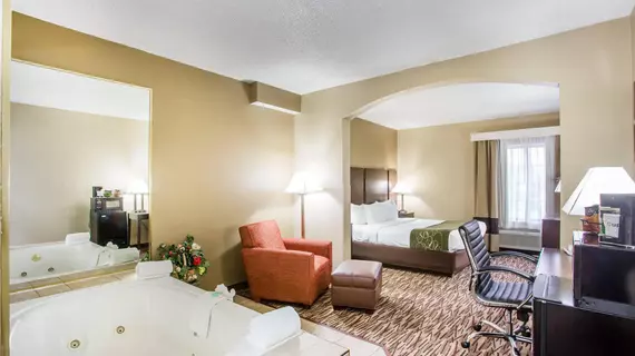 Comfort Suites Lebanon | Tennessee - Nashville-Davidson - Nashville (ve civarı) - Lebanon