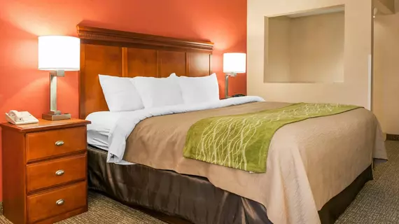 COMFORT INN OXFORD | Ohio - Cincinnati (ve civarı) - Oxford