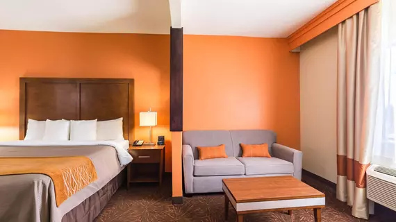 Comfort Inn East Houston | Teksas - Houston (ve civarı) - Houston - North Shore