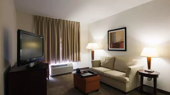 Homewood Suites by Hilton St. Louis - Galleria | Missouri - St. Louis (ve civarı) - Richmond Heights