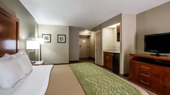 Comfort Inn & Suites at Dollywood Lane | Tennessee - Gatlinburg - Pigeon Forge (ve civarı) - Pigeon Forge