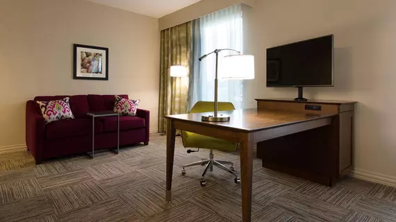 Hampton Inn & Suites Orangeburg | Güney Karolayna - Orangeburg (ve civarı) - Orangeburg