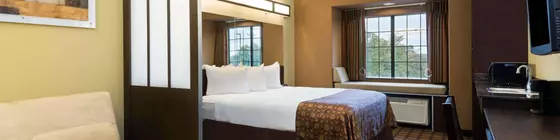 Microtel Inn & Suites by Wyndham San Antonio by SeaWorld | Teksas - San Antonio (ve civarı) - San Antonio