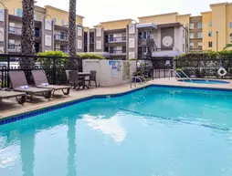 Best Western Courtesy Inn | Kaliforniya - Orange County - Anaheim - Anaheim Resort