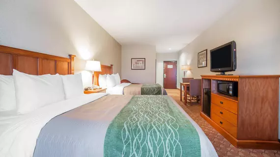 COMFORT INN & SUITES | Nevada - Clark County - Las Vegas (ve civarı) - Las Vegas