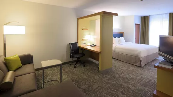 SpringHill Suites Albany-Colonie | New York - Albany (ve civarı) - Albany