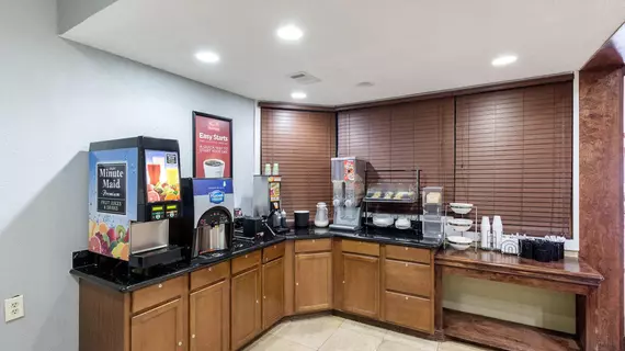 Econo Lodge Conroe | Teksas - Conroe (ve civarı) - Conroe