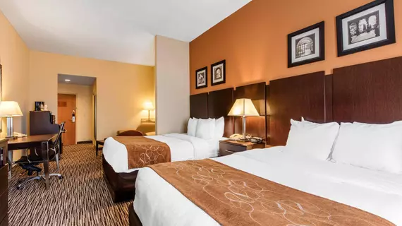 Comfort Suites Murfreesboro | Tennessee - Nashville-Davidson - Nashville (ve civarı) - Murfreesboro