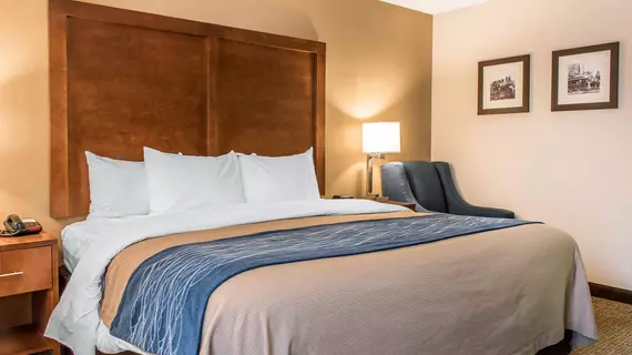 Comfort Inn Clarks Summit | Pensilvanya - Scranton (ve civarı) - Clarks Summit