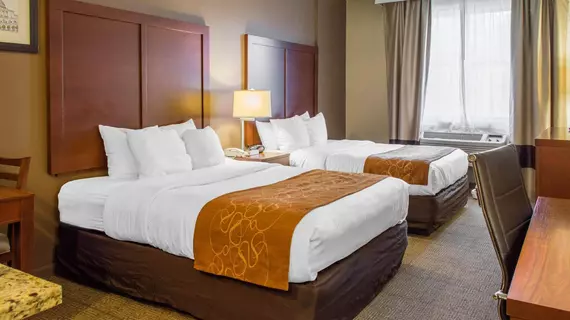 Comfort Suites | Maryland - Waldorf (ve civarı) - Waldorf