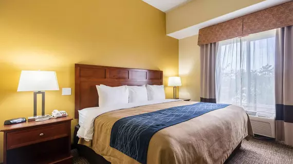 Comfort Inn and Suites Cedar City | Utah - Cedar City (ve civarı) - Cedar City