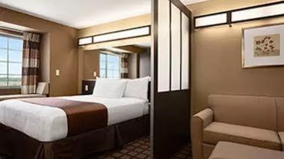 Microtel Inn & Suites Pleasanton | Teksas - Pleasanton (ve civarı) - Pleasanton