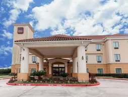 Comfort Suites Hobby Airport Houston | Teksas - Houston (ve civarı) - Houston