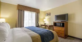 Comfort Inn and Suites Cedar City | Utah - Cedar City (ve civarı) - Cedar City