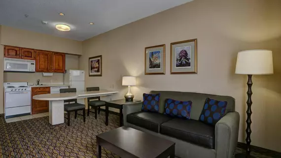 Holiday Inn Milwaukee Airport | Wisconsin - Milwaukee (ve civarı) - Milwaukee