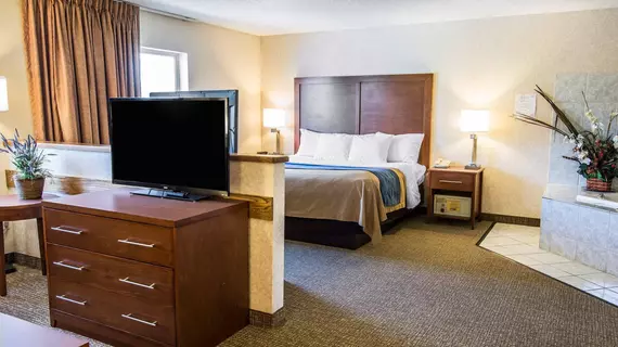 Comfort Inn Lewiston | Idaho - Lewiston (ve civarı) - Lewiston