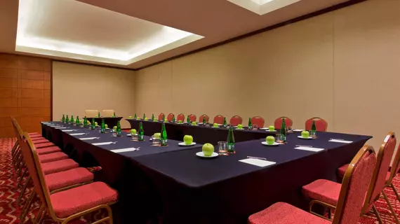 Sheraton Santiago Hotel & Convention Center | Santiago - Santiago (ve civarı) - Providencia