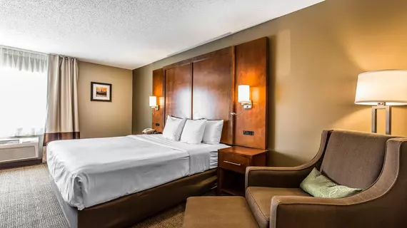 Comfort Inn Romeoville | İllinois - Romeoville