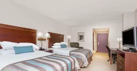 Wingate by Wyndham Columbia/Lexington | Güney Karolayna - Columbia (ve civarı) - Lexington