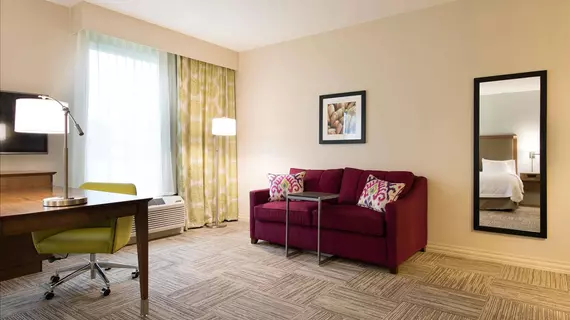 Hampton Inn & Suites Orangeburg | Güney Karolayna - Orangeburg (ve civarı) - Orangeburg