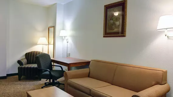 Quality Inn & Suites Austin Airport | Teksas - Austin (ve civarı) - Del Valle