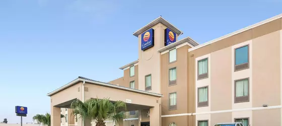 Comfort Inn & Suites FM1960-Champions | Teksas - Houston (ve civarı) - Houston - FM 1960 Otoyolu