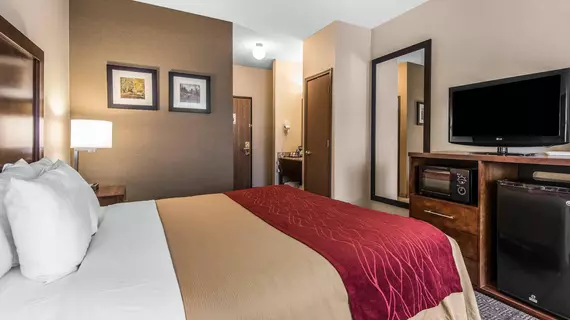 COMFORT INN WHEAT RIDGE | Kolorado - Denver (ve civarı) - Wheat Ridge