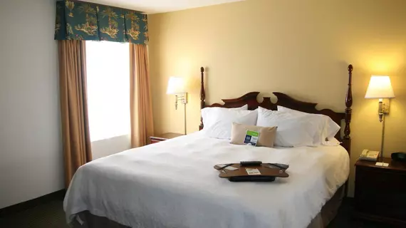 Hampton Inn Georgetown-Marina | Güney Karolayna - Myrtle Plajı (ve civarı) - Georgetown