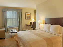 Best Western Sugarland Inn | Teksas - Houston (ve civarı) - Sugar Land