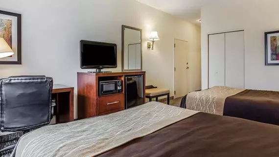 Comfort Inn & Suites | Güney Karolayna - Columbia (ve civarı) - Camden