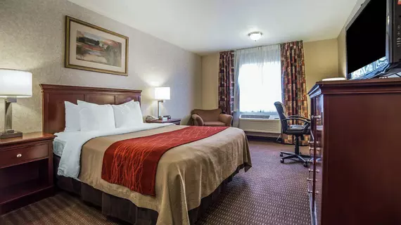 Comfort Inn Kennewick | Washington - Tri-Cities (ve civarı) - Kennewick