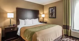 Comfort Inn and Suites Kansas City Northeast | Missouri - Kansas City (ve civarı) - Kansas