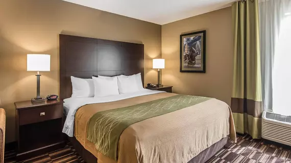 Comfort Inn and Suites Kansas City Northeast | Missouri - Kansas City (ve civarı) - Kansas