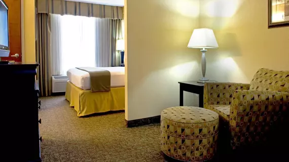 Holiday Inn Express Hotel & Suites Dallas Fort Worth Airport South | Teksas - Dallas (ve civarı) - Irving