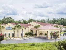 Comfort Inn & Suites Walterboro | Güney Karolayna - Walterboro - St. George (ve civarı) - Walterboro