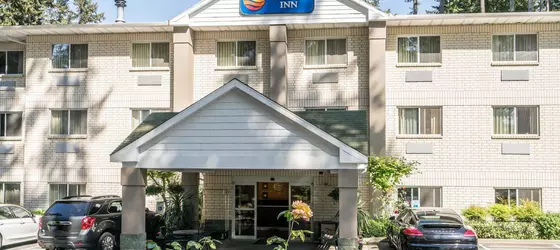 Comfort Inn Lacey | Washington - Olympia (ve civarı) - Lacey