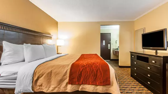 Comfort Inn & Suites Cleveland | Tennessee - Chattanooga (ve civarı) - Cleveland