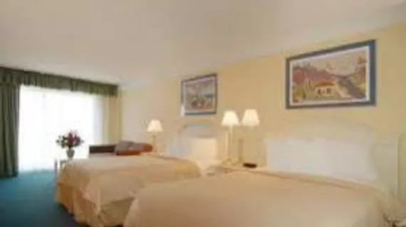 Quality Inn and Suites Oceanfront | Virginia - Norfolk - Virginia Beach (ve civarı) - Virginia Beach