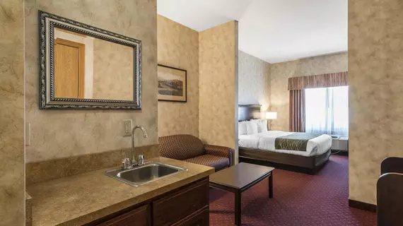 Comfort Inn & Suites Walla Walla | Washington - Walla Walla (ve civarı) - Walla Walla