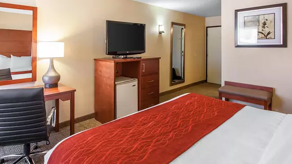 Comfort Inn Near Fallon Naval Air Station | Nevada - Fallon (ve civarı) - Fallon