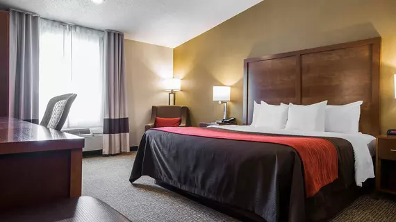 Comfort Inn Albany/Glenmont | New York - Albany (ve civarı) - Glenmont