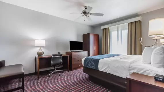 Comfort Suites Saint Charles | Missouri - St. Louis (ve civarı) - St. Charles