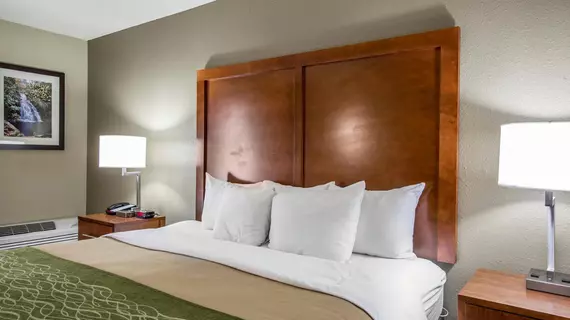 Comfort Inn & Suites at Dollywood Lane | Tennessee - Gatlinburg - Pigeon Forge (ve civarı) - Pigeon Forge