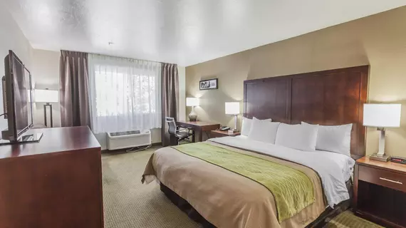 Comfort Inn Hotel Kent | Washington - Seattle (ve dolayları) - Kent