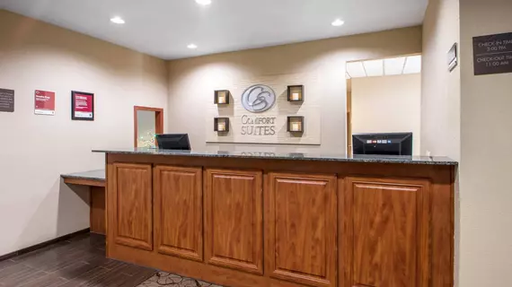 Comfort Suites Johnson Creek | Wisconsin - Fort Atkinson (ve civarı) - Johnson Creek